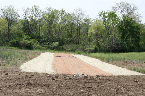 Full Size Image = 746 K