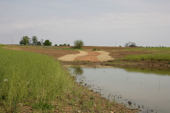 Full Size Image = 381 K