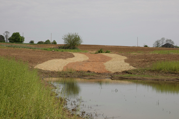 Full Size Image = 348 K