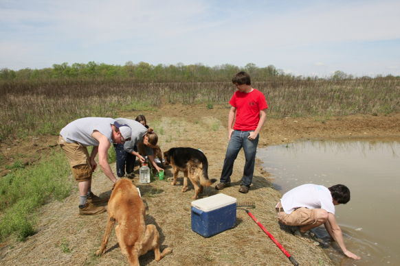 Full Size Image = 1839 K