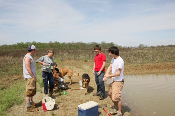 Full Size Image = 1611 K