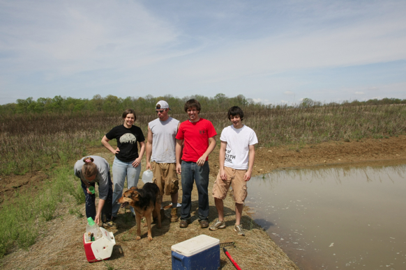 Full Size Image = 1517 K