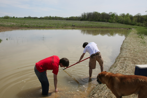 Full Size Image = 1360 K