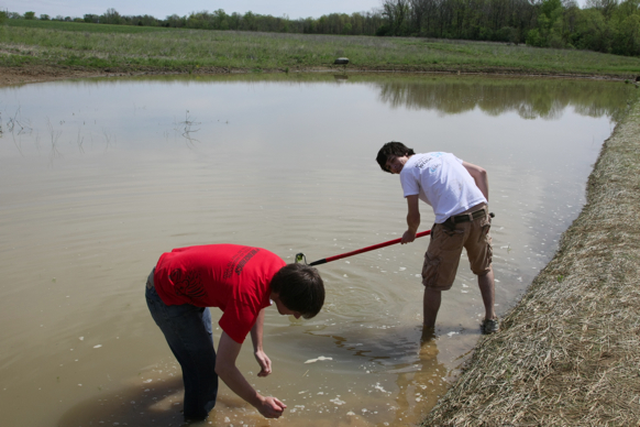 Full Size Image = 1460 K