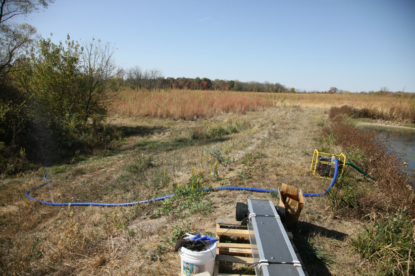 Full Size Image = 6128 K