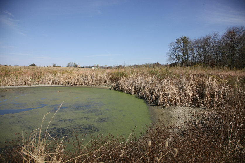 Full Size Image = 5127 K