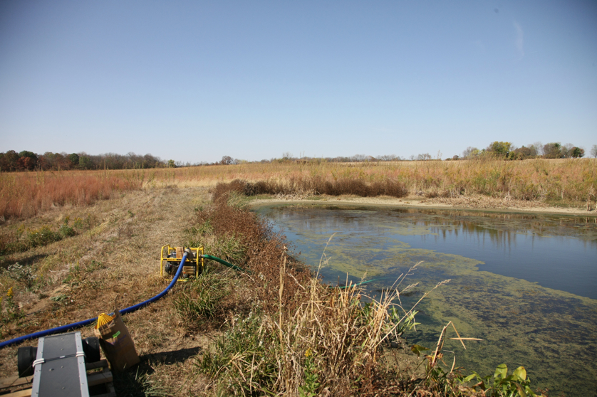 Full Size Image = 4940 K