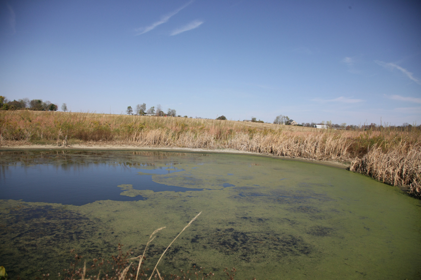 Full Size Image = 4262 K