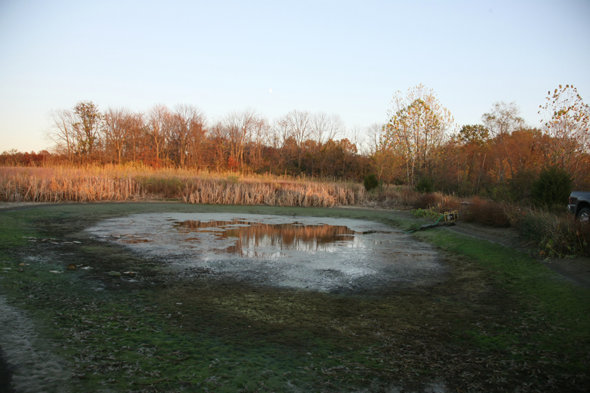 Full Size Image = 4676 K