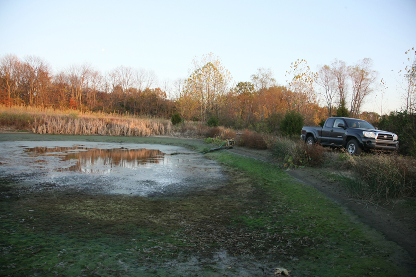 Full Size Image = 5204 K