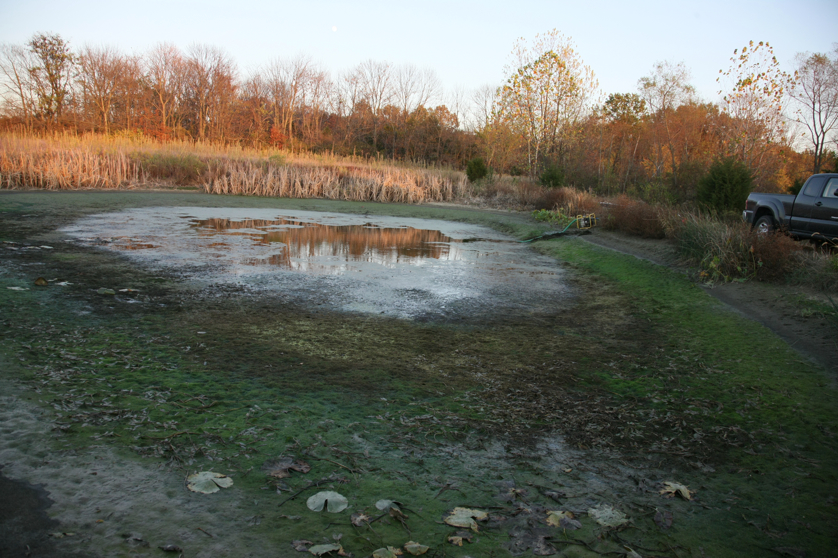 Full Size Image = 5510 K