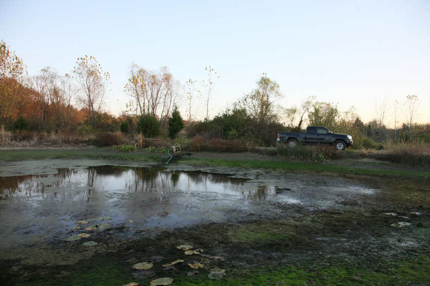 Full Size Image = 4754 K