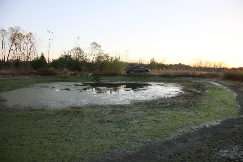 Full Size Image = 4388 K