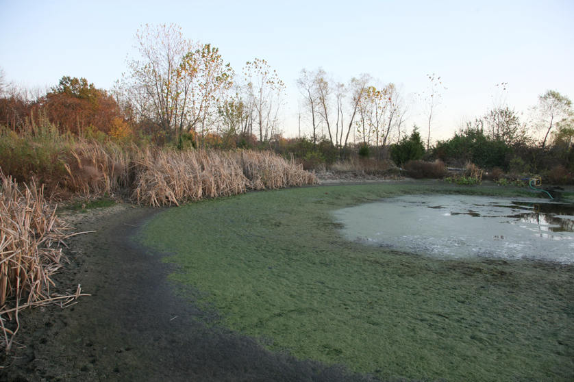 Full Size Image = 5416 K