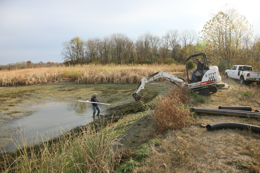 Full Size Image = 5956 K