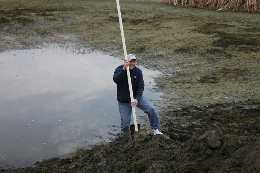 Full Size Image = 4118 K