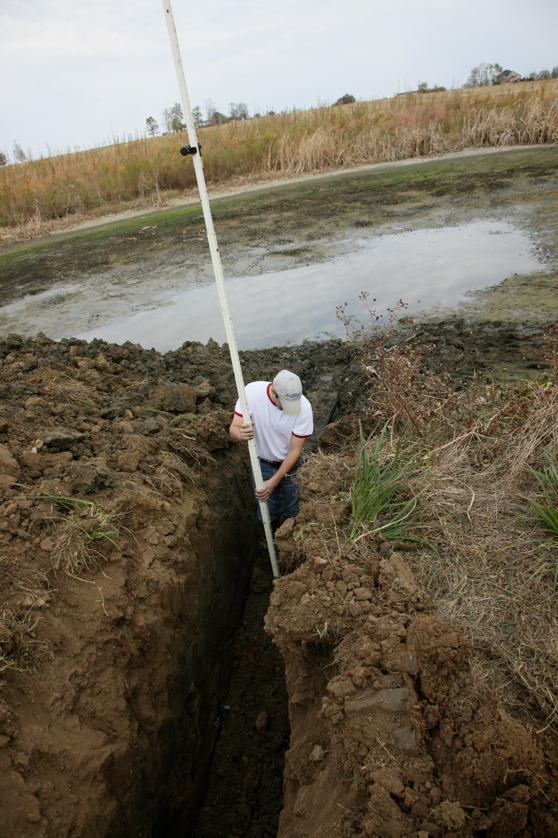 Full Size Image = 4405 K