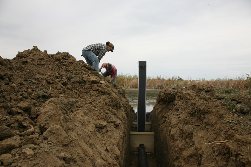 Full Size Image = 3855 K