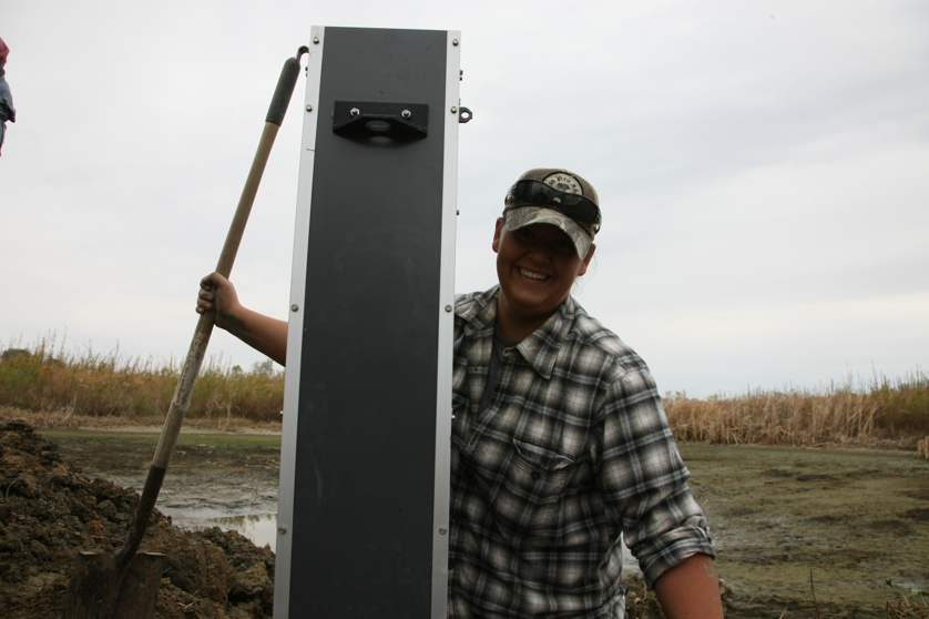 Full Size Image = 2769 K