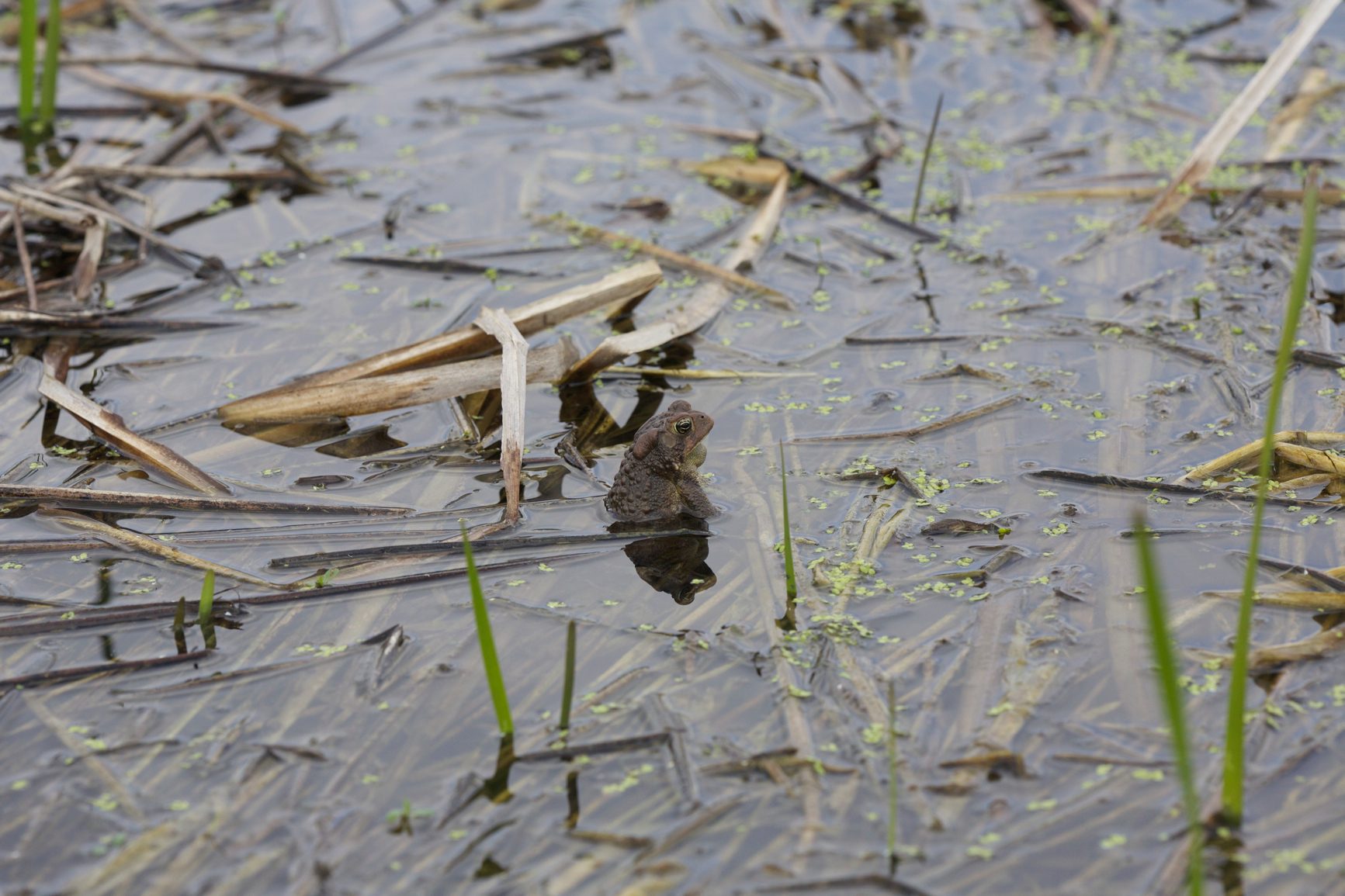 Full Size Image = 4973 K