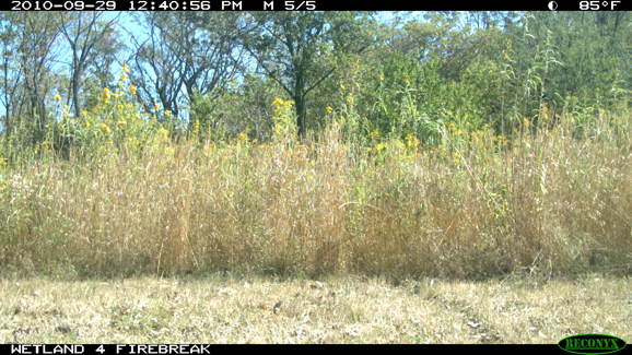 Full Size Image = 574 K