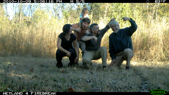 Full Size Image = 466 K