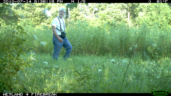 Full Size Image = 483 K