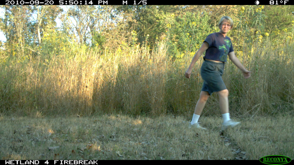 Full Size Image = 469 K