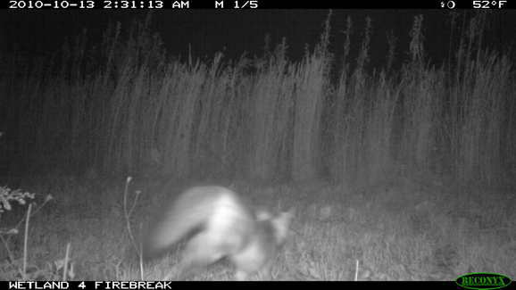 Full Size Image = 231 K