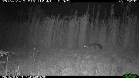 Full Size Image = 235 K