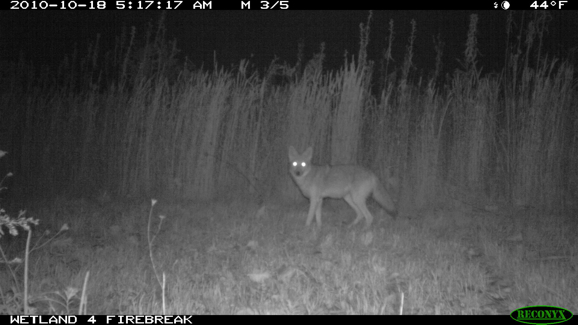 Full Size Image = 232 K