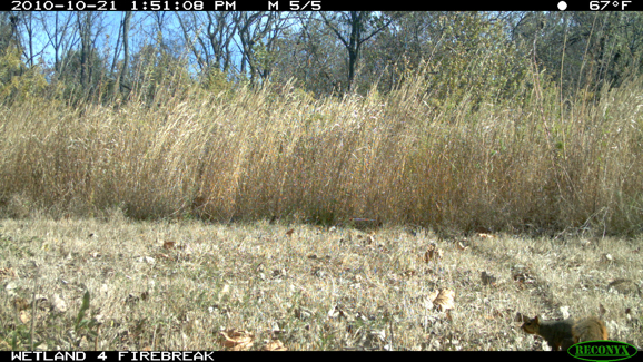 Full Size Image = 612 K