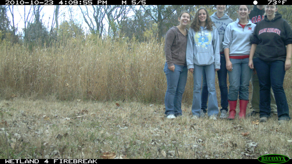 Full Size Image = 415 K