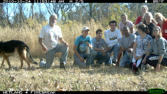 Full Size Image = 470 K