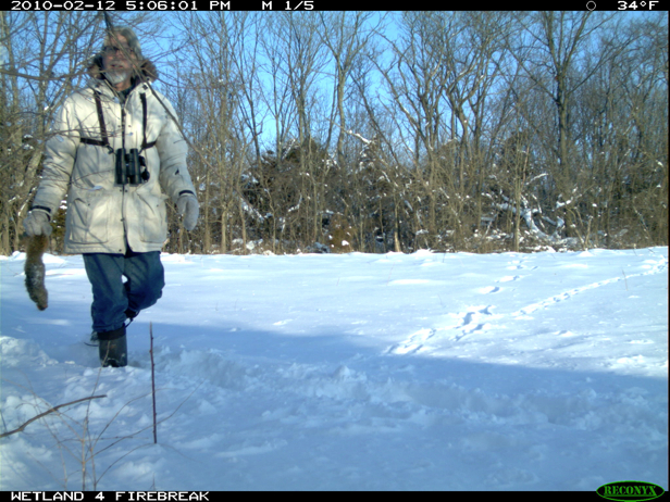 Full Size Image = 2183 K