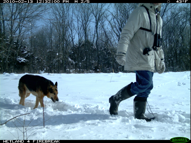 Full Size Image = 2177 K