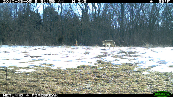 Full Size Image = 2256 K