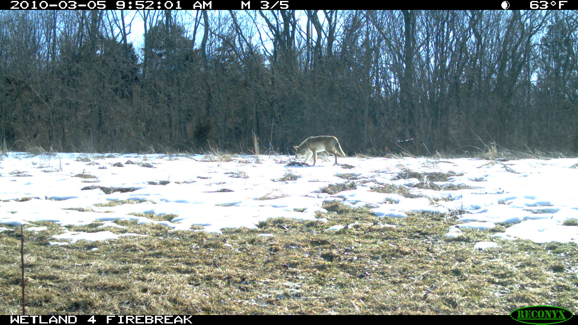 Full Size Image = 2260 K