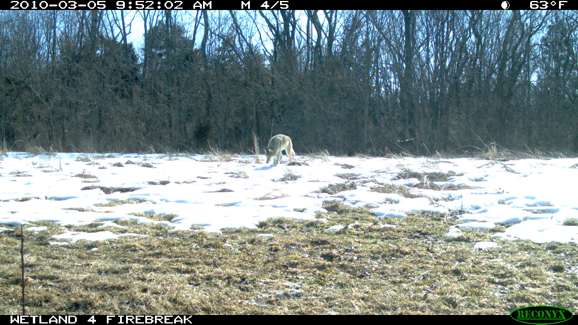 Full Size Image = 2252 K