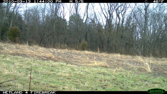 Full Size Image = 2113 K