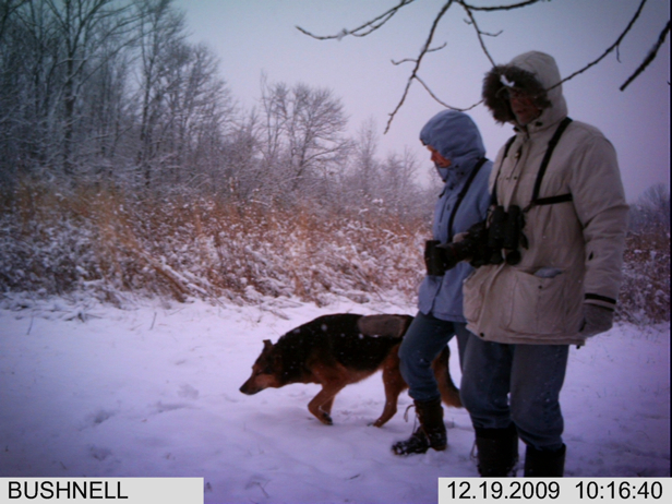 Full Size Image = 1900 K