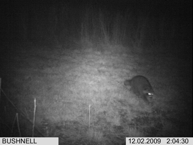 Full Size Image = 1261 K