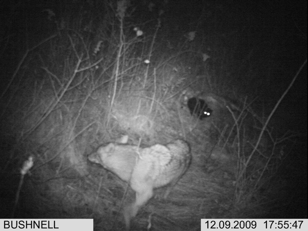 Full Size Image = 1273 K