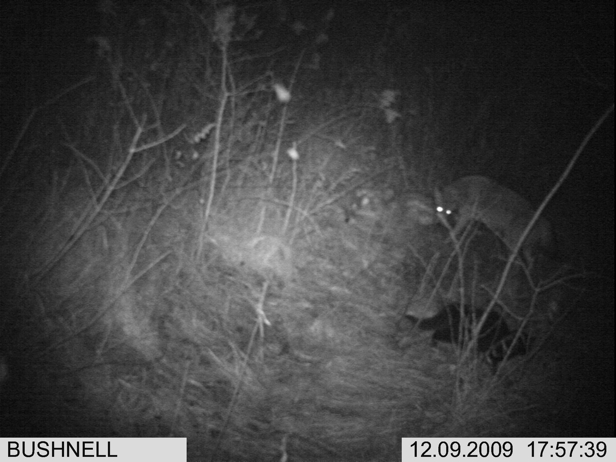 Full Size Image = 1269 K