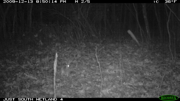 Full Size Image = 235 K