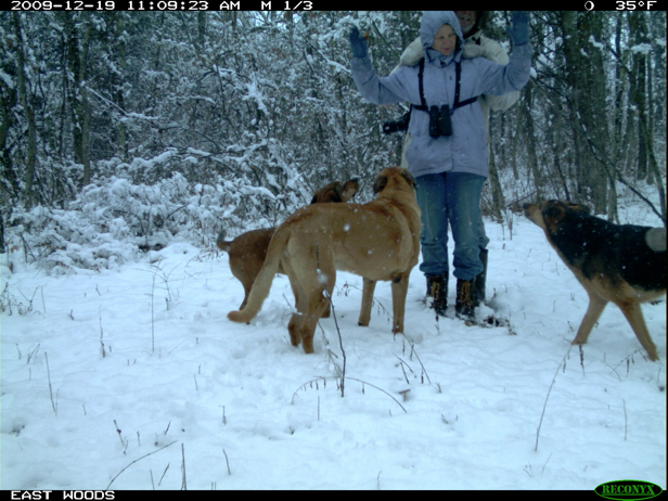 Full Size Image = 1878 K