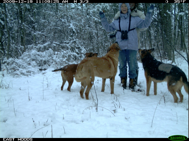 Full Size Image = 1893 K