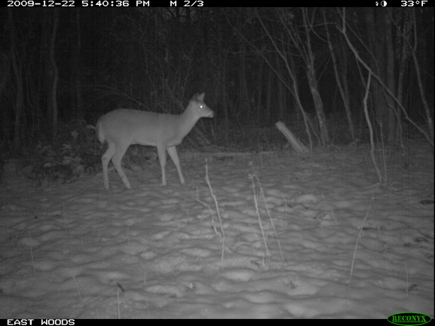 Full Size Image = 973 K