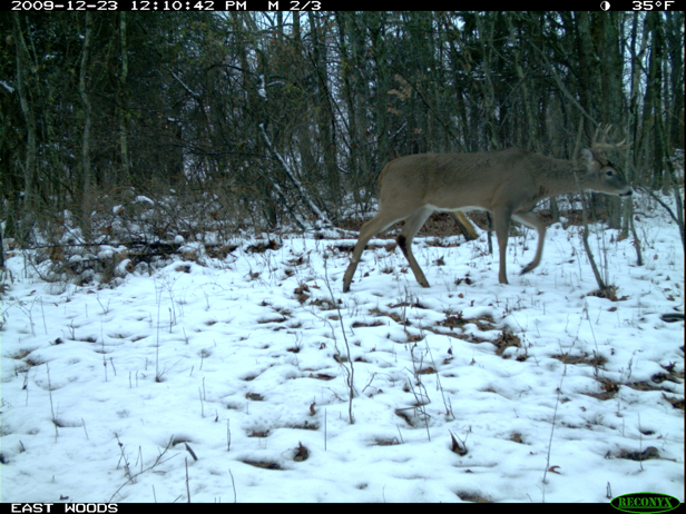 Full Size Image = 2273 K