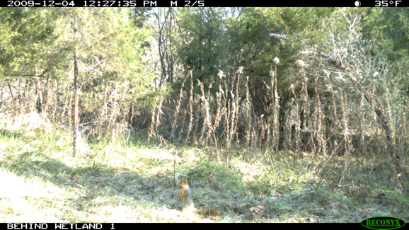 Full Size Image = 2214 K